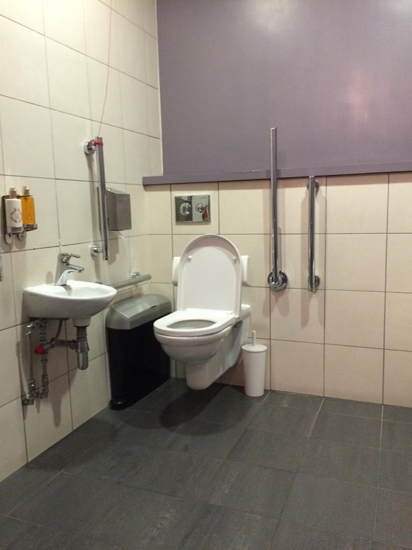 One of the large disabled toilets