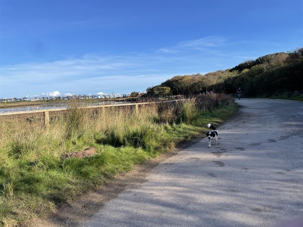 Main nature trail