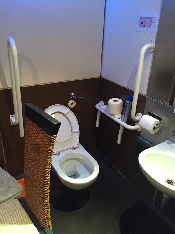 Photo of the toilet.