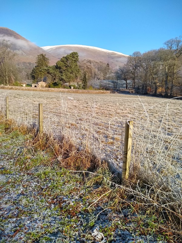 A view of the Ochil hills from the path