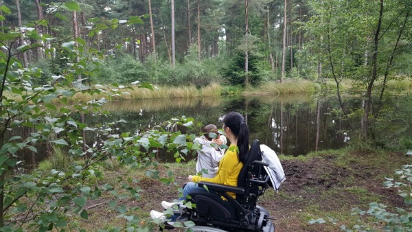 Picture of Devilla Forest Trail, Alloa