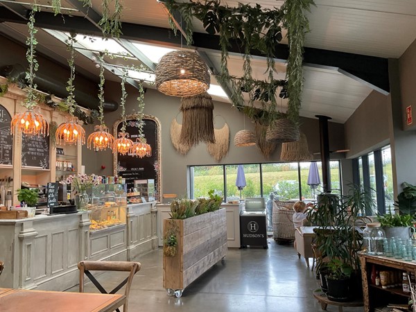 Image of a room with plants from the ceiling