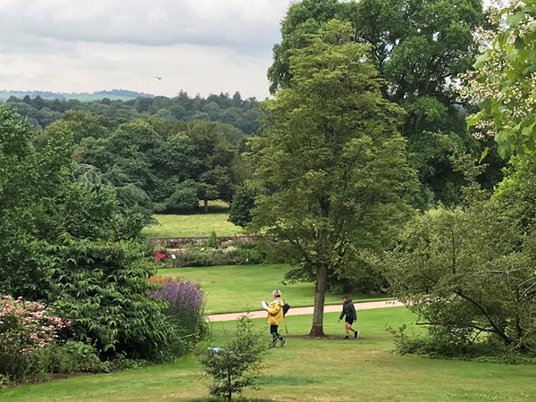 Picture of Killerton, Exeter