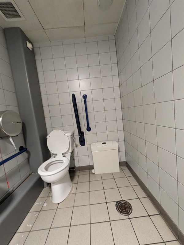 Image of accessible toilet, a toilet with grabrails on either side