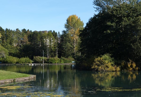 Picture of Abbotsford House - Gunknowe Loch