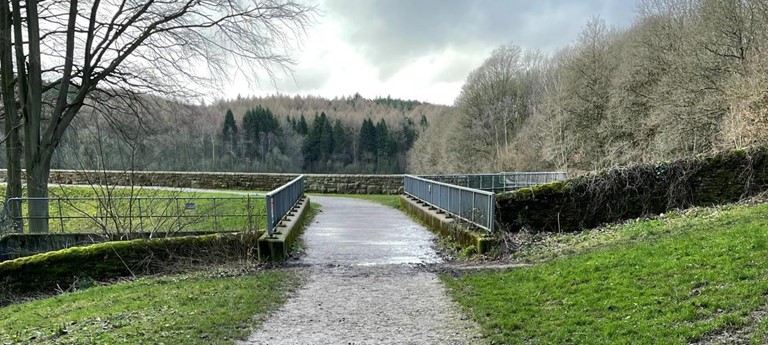 Linacre Reservoirs