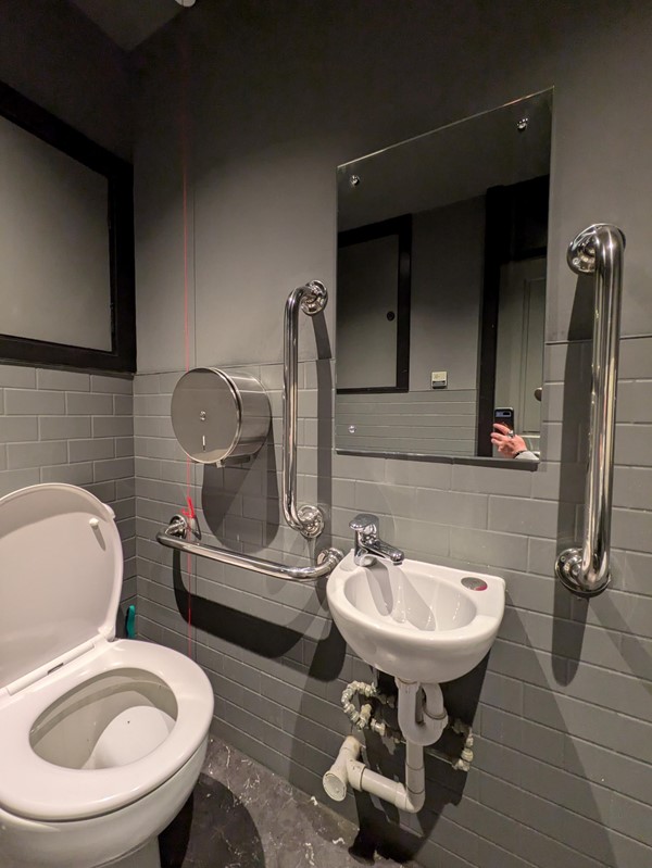 Image of the accessible toilet showing the toilet seat, grab rails, toilet paper dispenser, red emergency cord, low sink and mirror with rails on either side