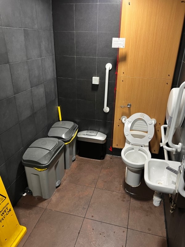 Image of an accessible toilet