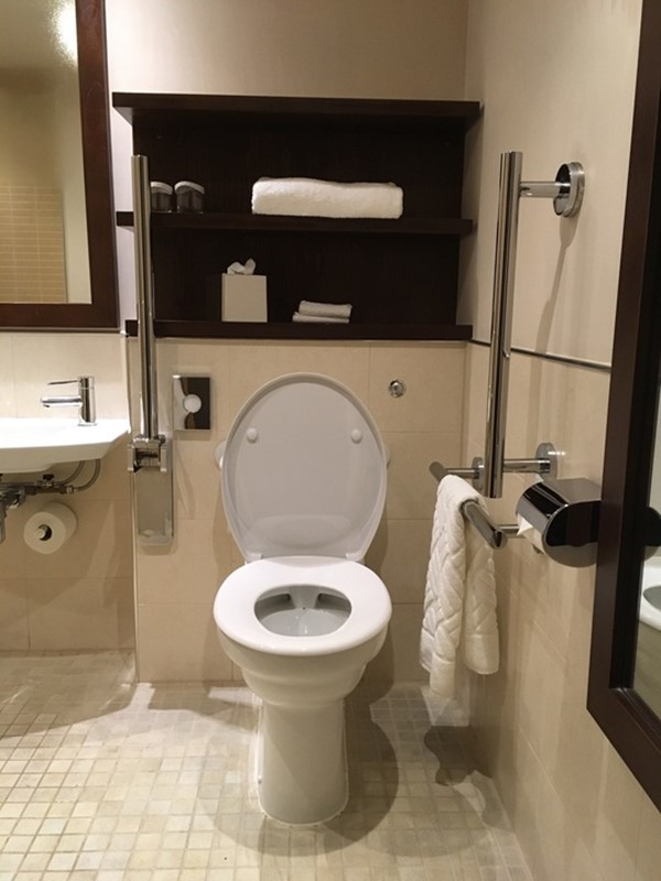 Picture of Accessible Toilet