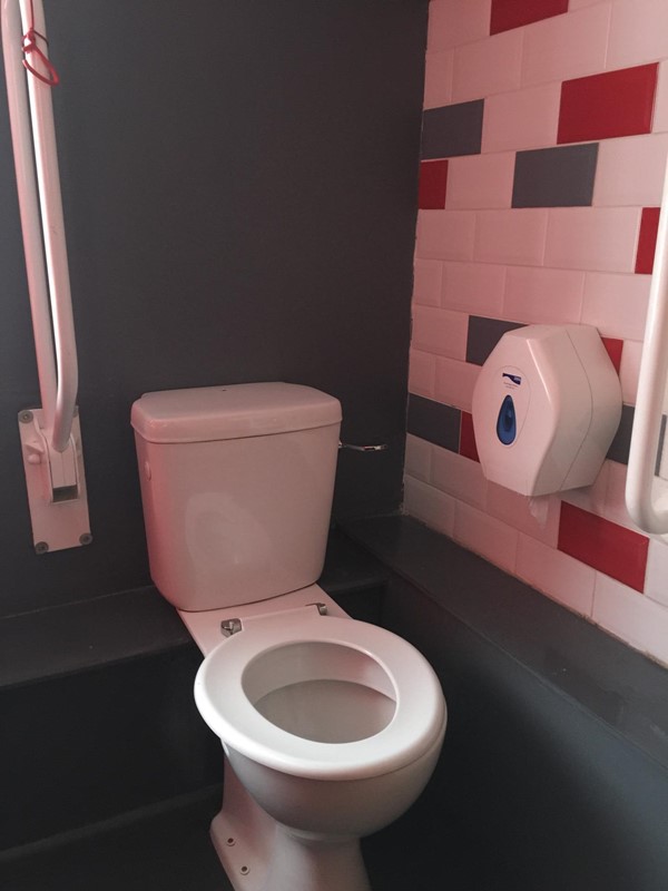 Picture of the works accessible toilet