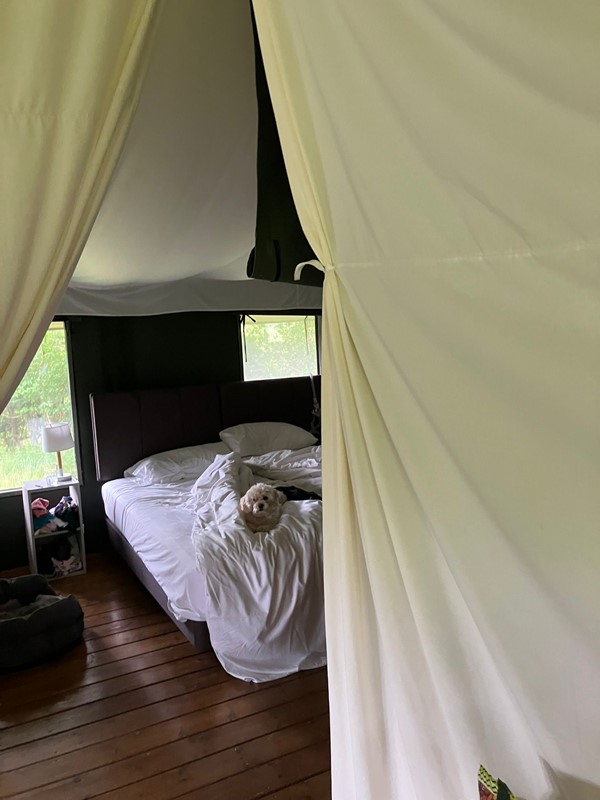 Spacious double room. As we didn't need the bunk beds the material between was rolled up making the bedrooms huge.