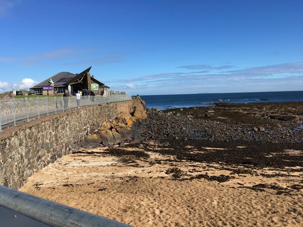 The view from the parking area toward the Seabird Centre