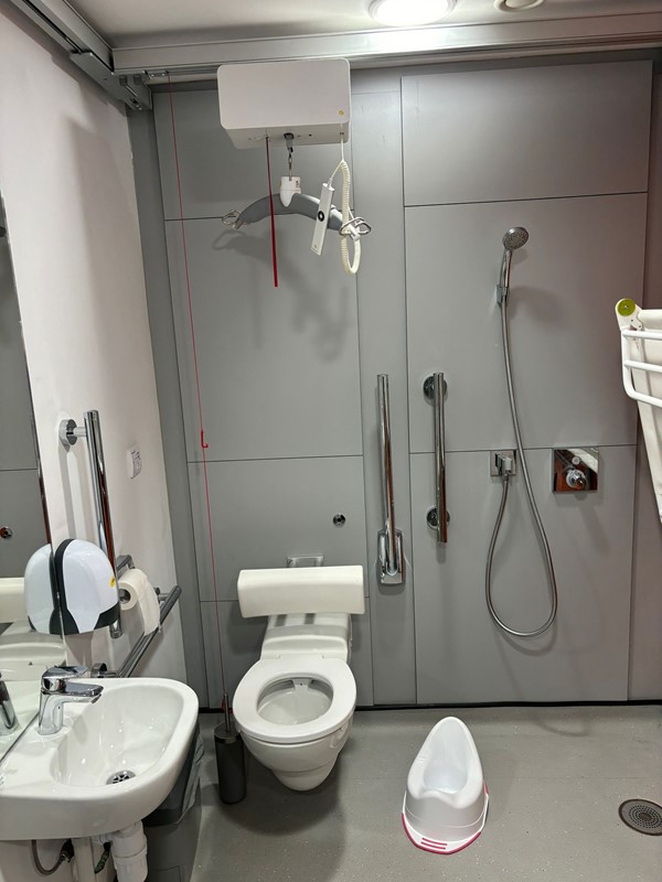 Image of an accessible toilet and a red emergency cord