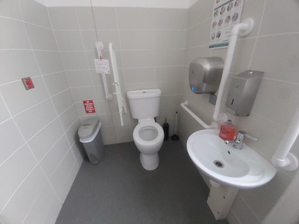 Image of an accessible toilet and sink