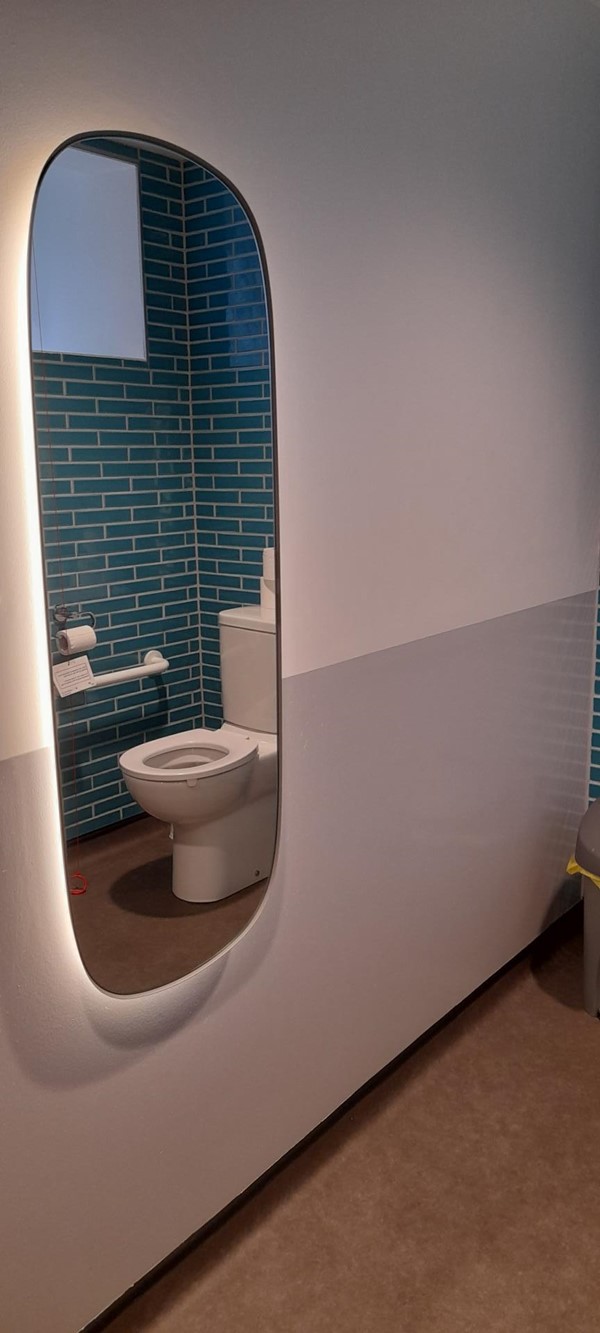 Image of a toilet reflected in a mirror