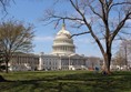 United States Capitol