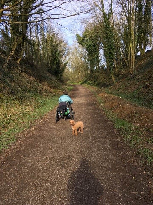 Picture of Tissington Trail