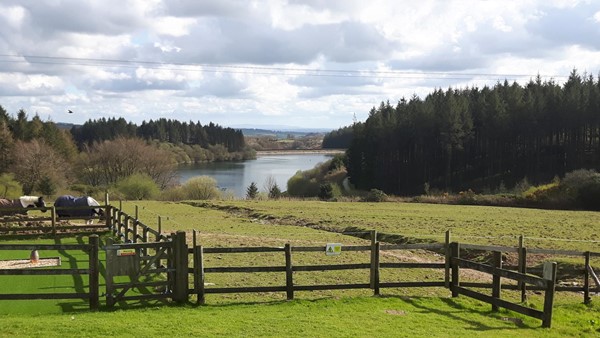 Calvert Exmoor