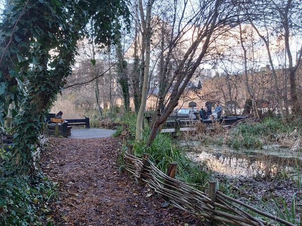 Camley Street Natural Park