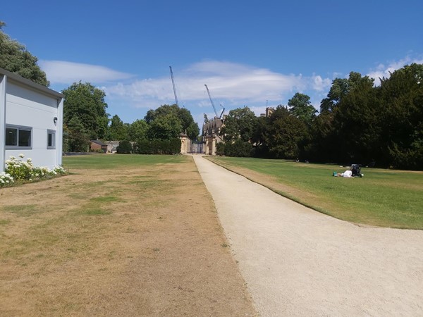 Path through a park