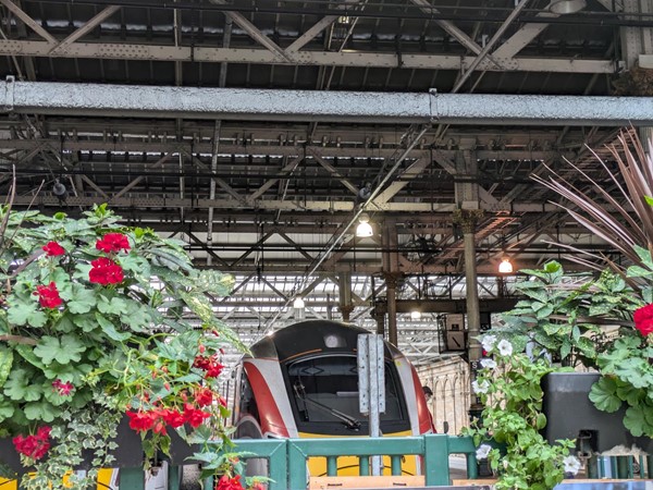 Image of a train set between two planters, the plants have green leave and red flower