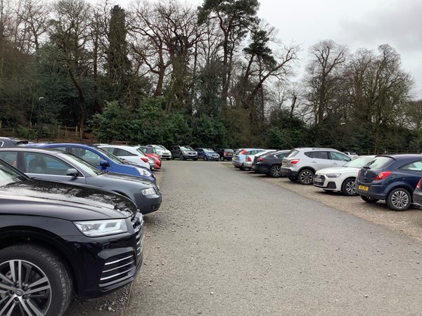 now filled with early March golden daffodils and drove to pass the main house on our right, which looked so promising, until a few feet later we turned left into the Mansion car park area