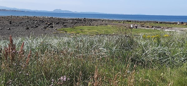 Lovely view over the Forth and the sea from parking area with good facilities