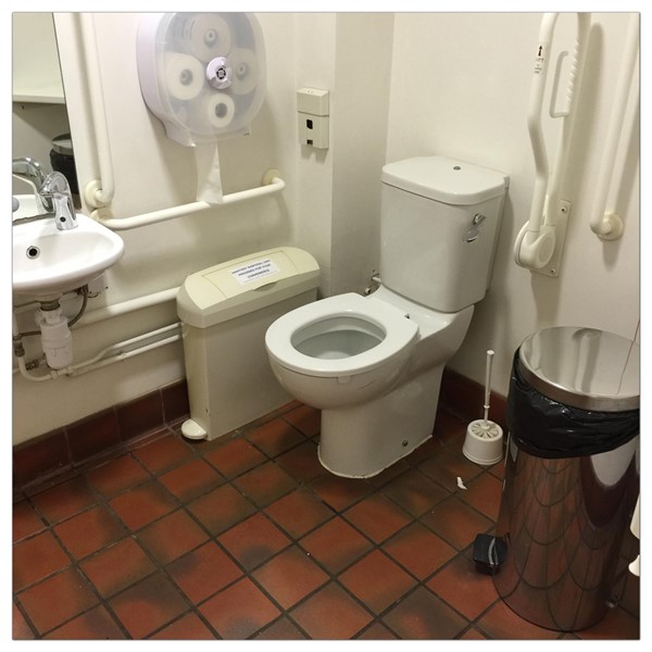 Toilet showing sink