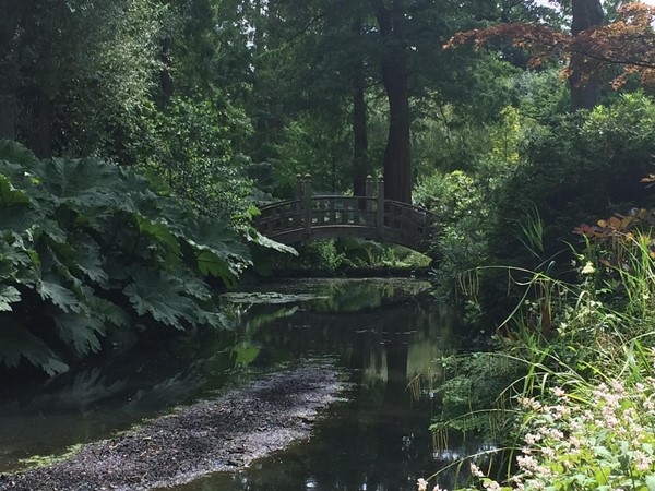 Winterbourne House and Garden, Birmingham