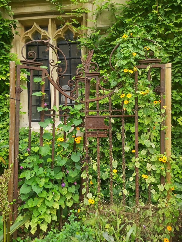 Rusty metal gate covered in leaves