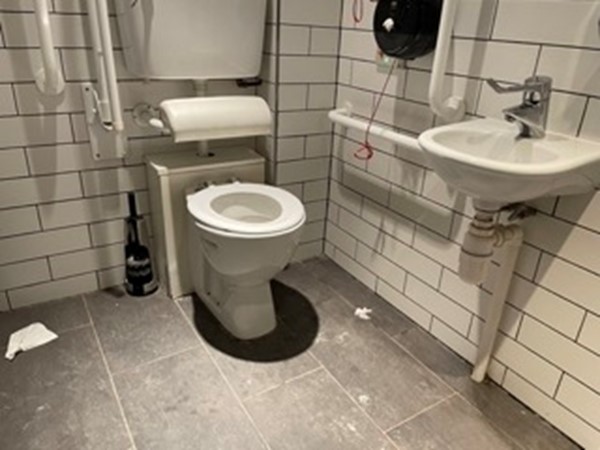 Accessible toilet