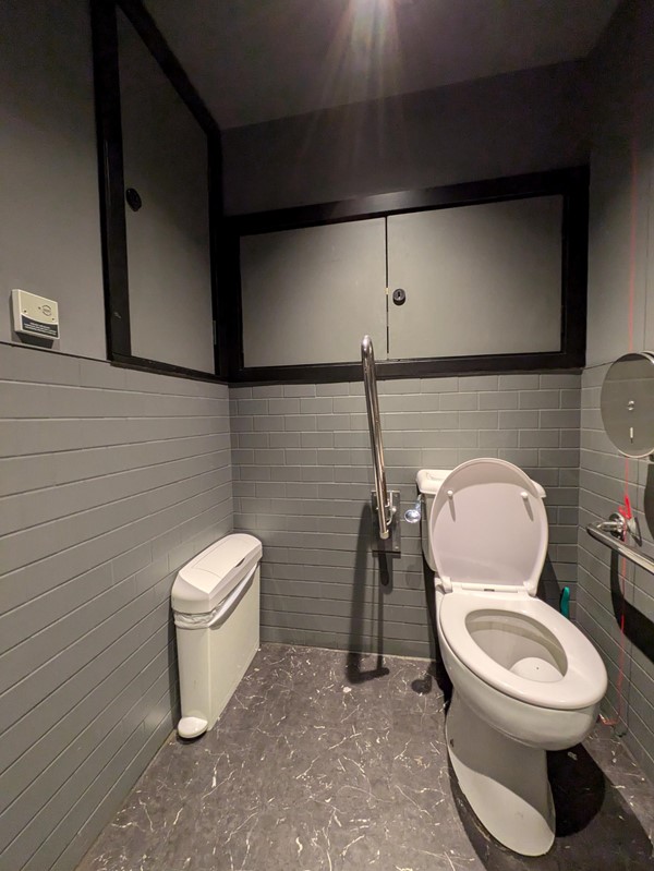 Image of the accessible toilet showing the toilet seat, grab rails, toilet paper dispenser, sanitary bin and red emergency cord.