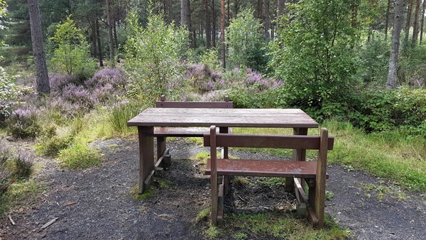 Picture of Devilla Forest Trail, Alloa