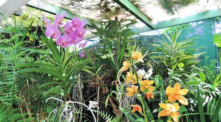 Jardin de Orquideas de Sitio Litre