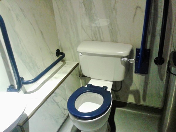 Accessible toilet