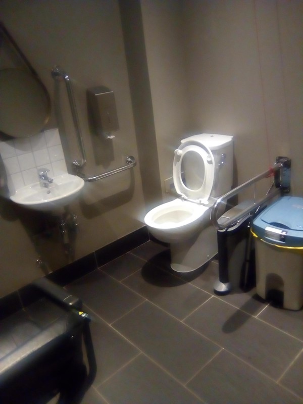 Accessible Toilet