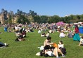 Photo of festival goers in the sun.