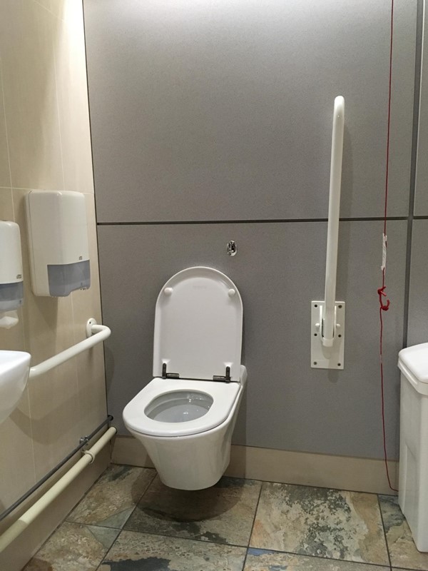 Accessible loo