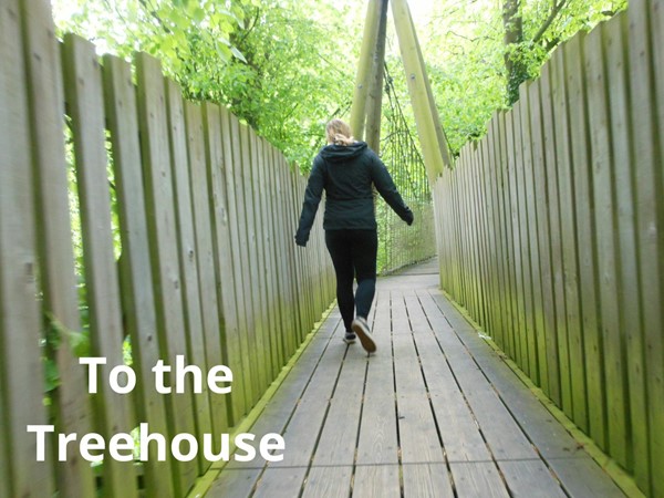 To the treehouse