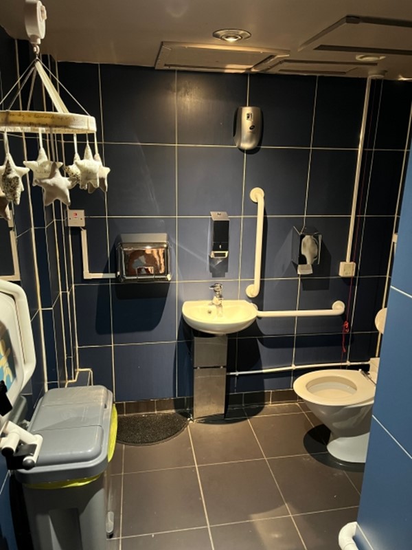 Image of an accessible toilet