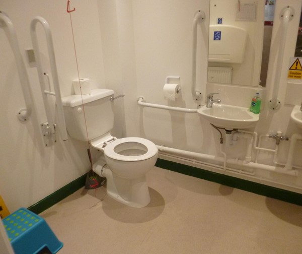 Accessible toilet