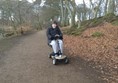 The woods at Talkin Tarn