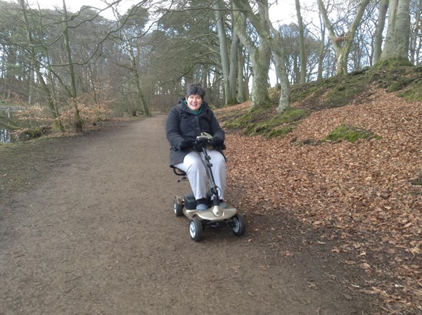 The woods at Talkin Tarn