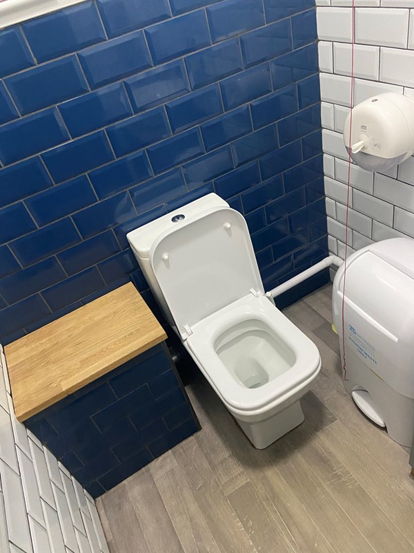 Picture of the accessible toilet