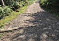 Picture of Hindhead Commons and the Devil's Punch Bowl