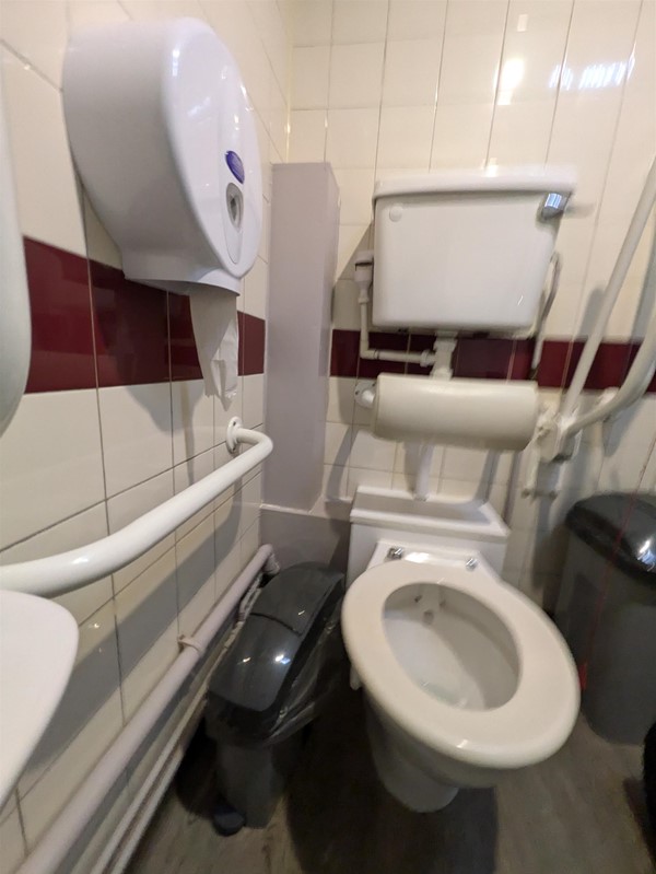 Image of accessible toilet and sink