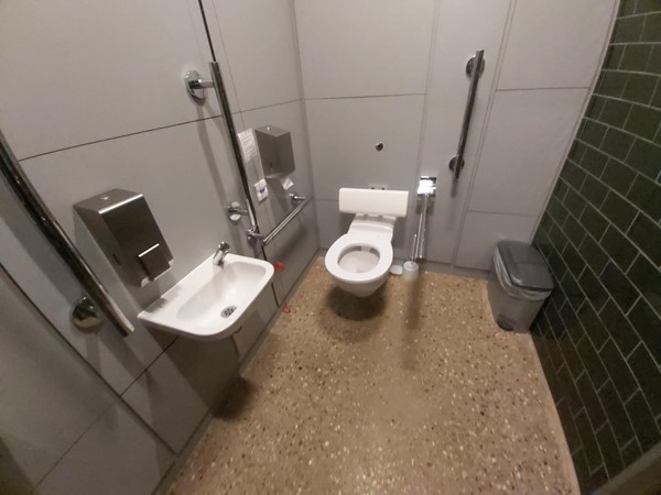 Accessible toilet