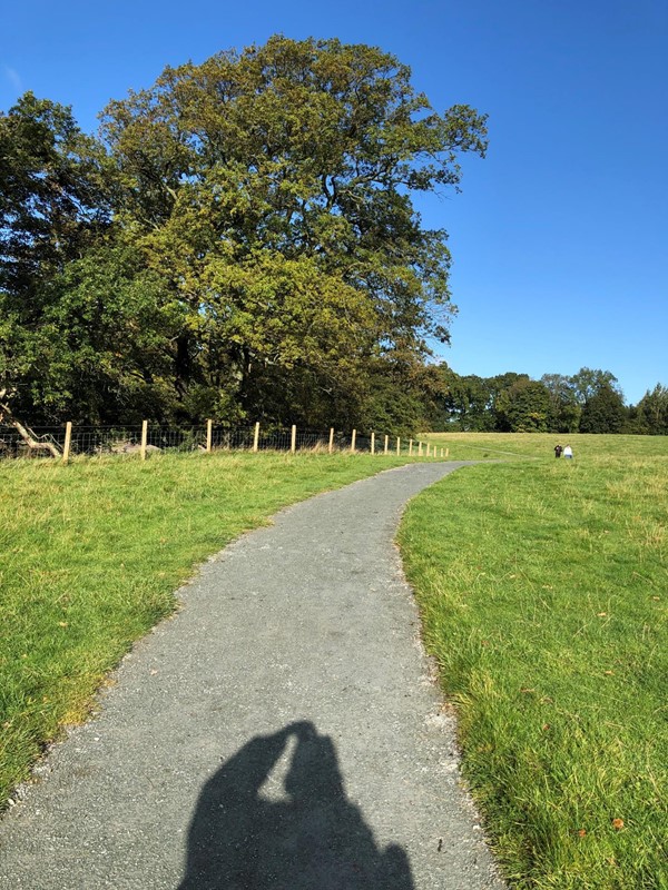 Picture of Derwent Water Walk