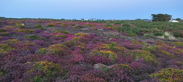 Beautiful cliff tops opposite the hotel.