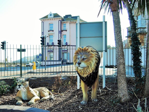 Safari themed golf course